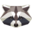 Raccoon Depot Icon
