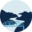 Center for Oral Facial & Implant Surgery Icon