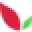 Avivi Icon