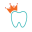 Little Crown Pediatric Dentistry Icon