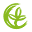 Dental Healing Icon