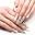 The Nail Bar CA Icon