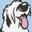 Rumford Pet Epxress Icon