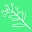 Wattle Icon