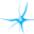 Creative Brains Icon