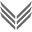 Vertig Store Icon
