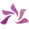 The Beauty Medics Icon