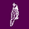 Andersen's Pet Shop Icon
