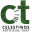 Celestino's Artificial Turf Icon