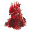 Rooster Rojo Icon