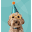 GAPInsure.com Icon