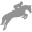 Amirashop Icon