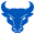 Buffalo Bulls Icon