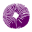 Spores101 Icon