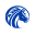 Fayetteville State Broncos Icon