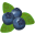 Vision Alive Icon