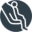 Handicare Icon