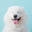 Annie 's Pantry Icon