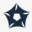 USA SHADE Icon