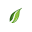 Artificial Plants Shop Icon