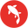 Complete Koi Icon
