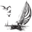 Harbor Cafe Icon