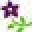 Homewood Nursery & Garden Center Icon