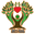 Natural Formula Solutions Icon