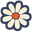 Naturally Groovy Oils Icon