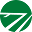 FieldTurf DE Icon