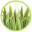 Greenline Artificial Grass Icon
