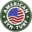 American Syn-Turf Icon