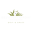 Southwest Greens Ontario Icon