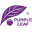 Purple Leaf Canada Icon
