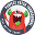 Perfect Patch Transdermal Icon