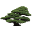 Bonsai Plaza IT Icon