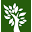Green Bonsai Icon