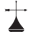 WeatherVanes.com Icon