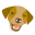 Alpha Chef Icon