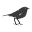 Barns Into Birdhouses Icon
