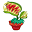 CarnivorousPlants.com Icon