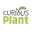 Curious Plant Icon