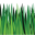 Green Velvet Icon
