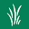 Forever Green Lawns Icon