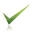 Quickgrass Icon
