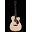 Petehuttlinger Icon