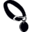 Passionately Pets Icon