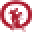 Paoul Icon