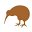 Kiwi Woodshop Icon