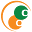 Orange Oranges Technologies Icon